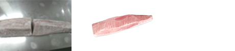 albacore