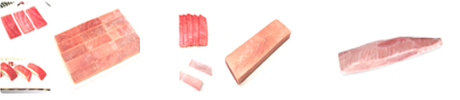 bigeye tuna