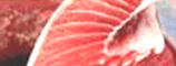 bigeye tuna