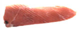 striped marlin 