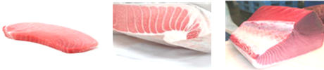 bluefin tuna