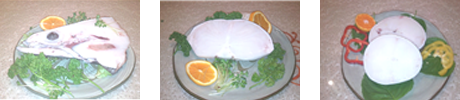 patagonian toothfish